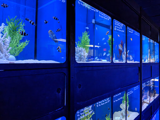 Tropical Fish Store «Aquatic Obsessions», reviews and photos, 1150 St George Ave, Avenel, NJ 07001, USA