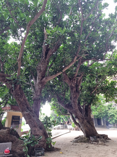 Top 20 cửa hàng akemi Huyện Lý Sơn Quảng Ngãi 2022