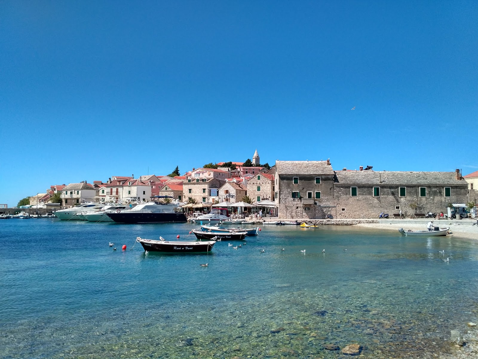 Plaza Rosi II'in fotoğrafı imkanlar alanı