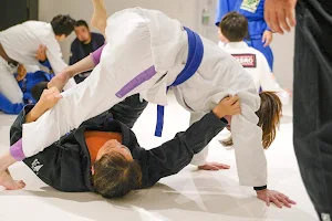 Flow Jiu-Jitsu Miyako(宮古市のブラジリアン柔術と格闘技のジム) image