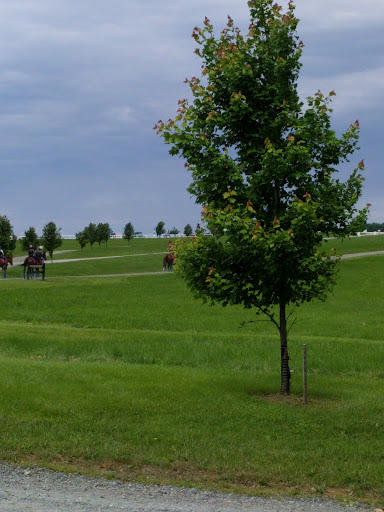 Nature Preserve «Fair Hill NRMA Park Office», reviews and photos, 300 Tawes Dr, Elkton, MD 21921, USA