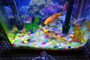 Sea Fish Aquarium image