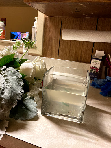 Florist «Mockingbird Lane Florist», reviews and photos, 5606 E Mockingbird Ln, Dallas, TX 75206, USA