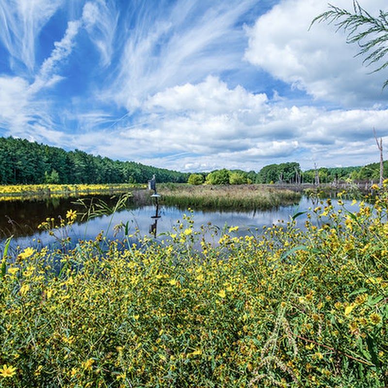 Caledon State Park