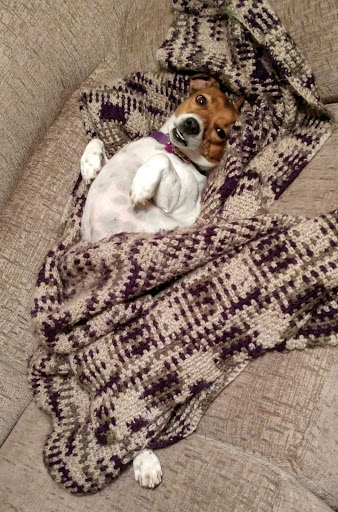 Pet Supply Store «PetSmart», reviews and photos, 181 Wilson Ave, Hanover, PA 17331, USA