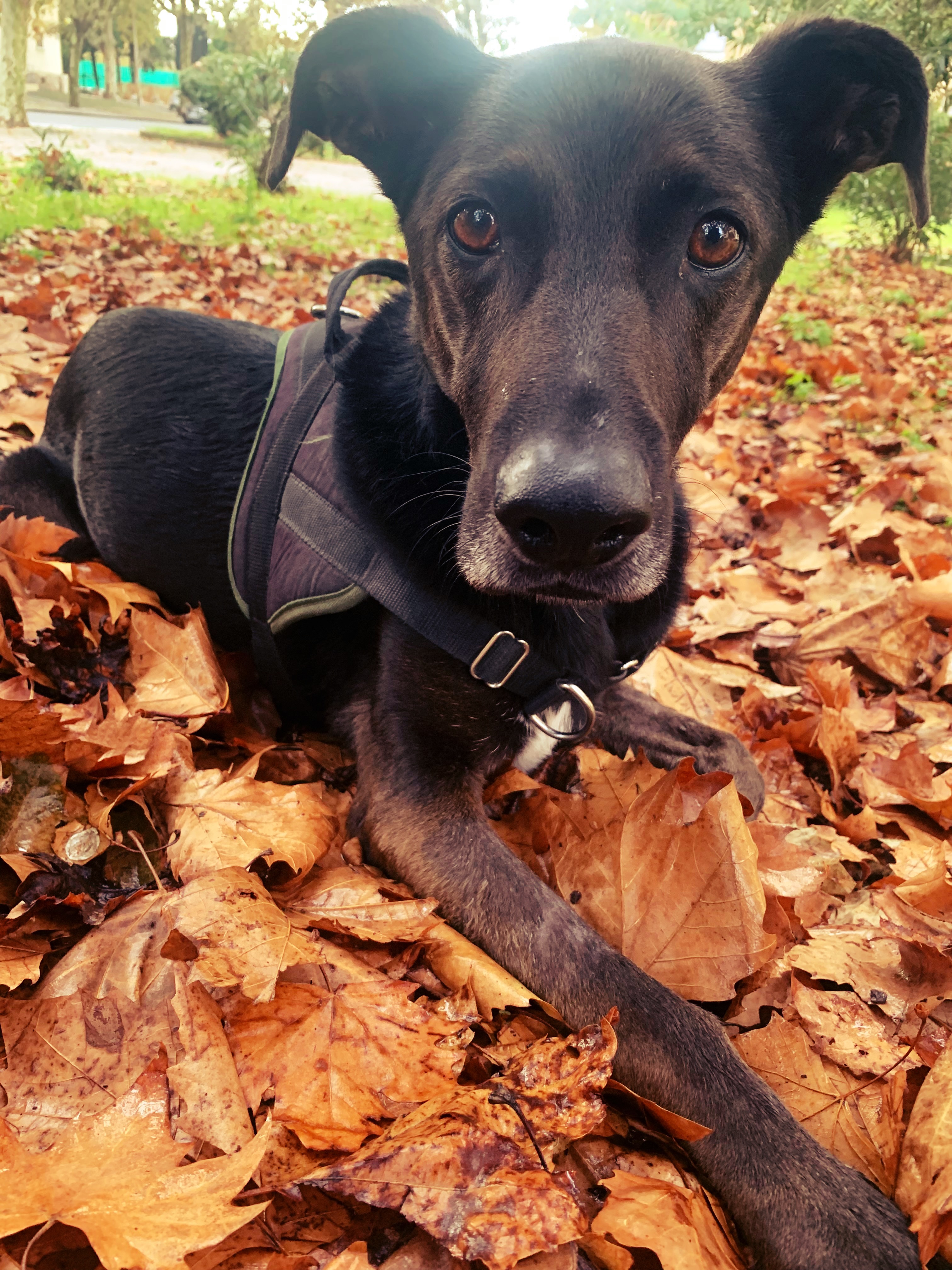 Photo n° 1 de l'avis de Claryce.e fait le 23/11/2023 à 13:27