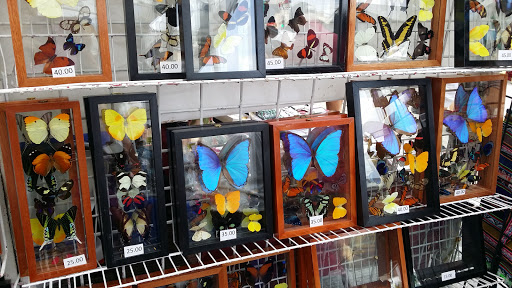 Supermarket «Brighton Bazaar», reviews and photos, 1007 Brighton Beach Ave, Brooklyn, NY 11235, USA