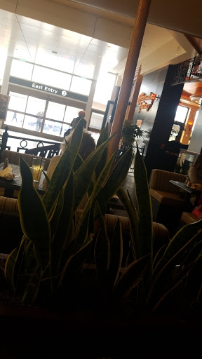 Clothing Store «Forever 21», reviews and photos, 396 E Sailer Dr, San Mateo, CA 94403, USA