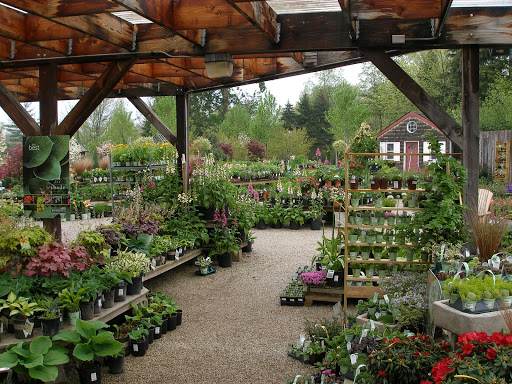 Florist «Breezewood Gardens & Gifts», reviews and photos, 17600 Chillicothe Rd, Chagrin Falls, OH 44023, USA