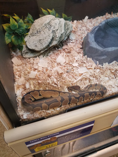 Pet Supply Store «PetSmart», reviews and photos, 14137 Rivergate Pkwy, Charlotte, NC 28273, USA