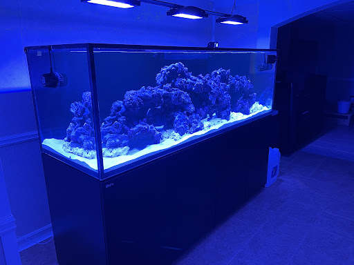 Tropical Fish Store «Wet Pets», reviews and photos, 520 Hartford Turnpike # X, Vernon, CT 06066, USA