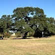 Heritage Oak Park