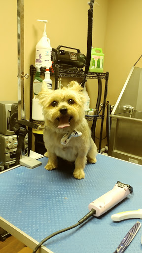 Pet Store «Pet Valu», reviews and photos, 2645 Shillington Rd, Sinking Spring, PA 19608, USA