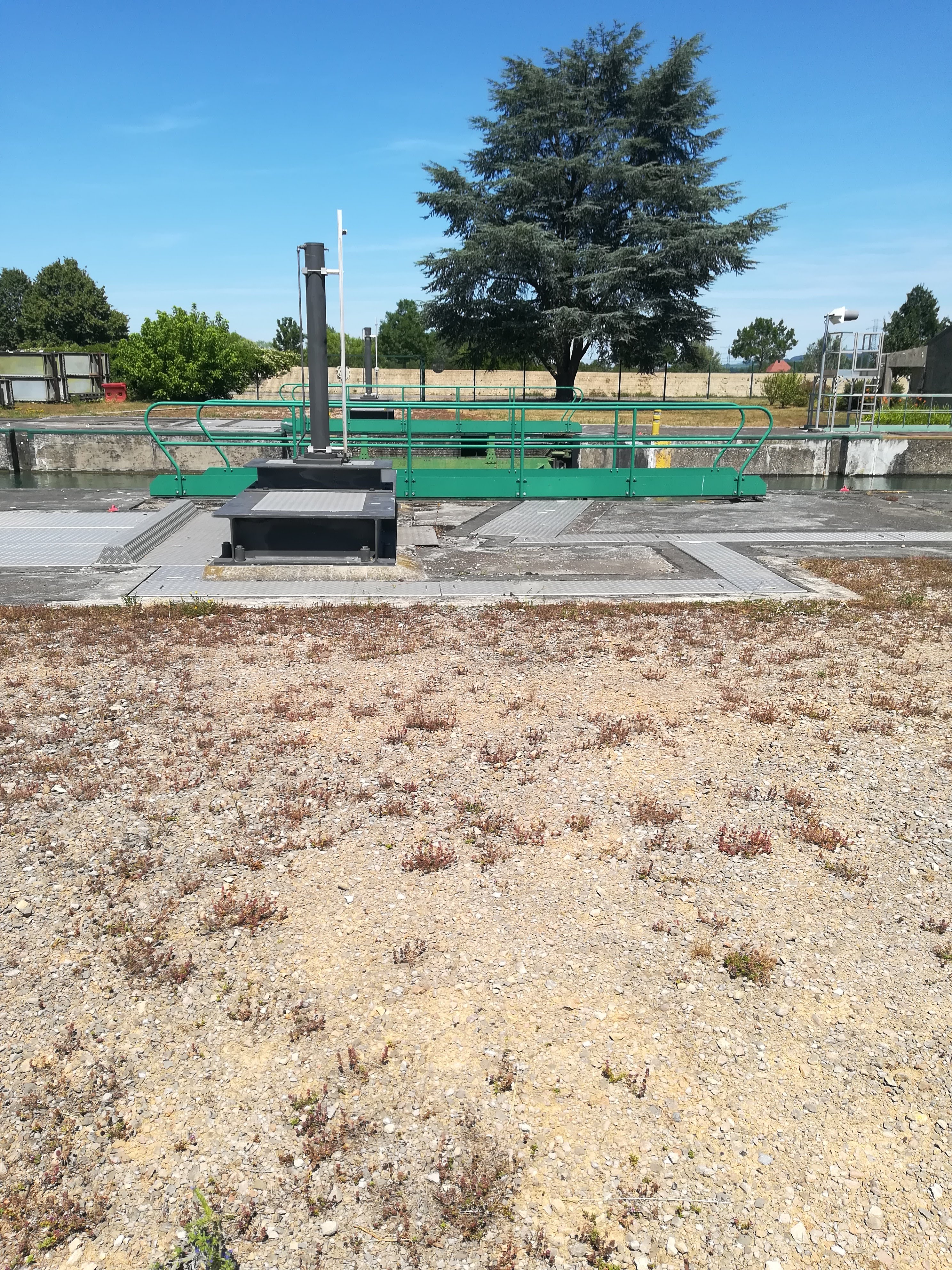 Photo n° 10 de l'avis de Marianne.e fait le 13/07/2019 à 08:14