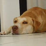 Photo n°3 de l'avis de Carlo.a fait le 29/05/2023 à 13:06 sur le  Agriturismo IL SELVELLO à Montemassi