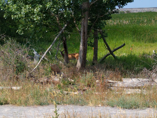 Nature Preserve «Times Beach Nature Preserve», reviews and photos, Coast Guard Station S Rd, Buffalo, NY 14203, USA