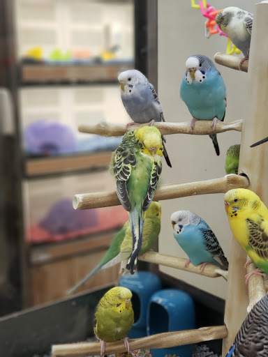 Pet Supply Store «Petco Animal Supplies», reviews and photos, 190 Quality Dr, Hooksett, NH 03106, USA