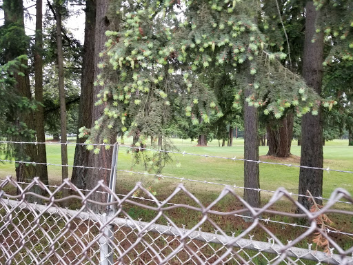 Golf Course «Lake Spanaway Golf Course», reviews and photos, 15602 Pacific Ave S, Tacoma, WA 98444, USA