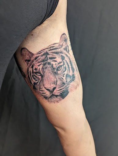 Explore flash sheets tattoo ideas, creative tattoo ideas in Leesburg, available at 1757 Ink