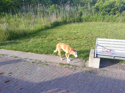 Caterer «Family Fruit», reviews and photos, 2200 Arthur Kill Rd, Staten Island, NY 10309, USA