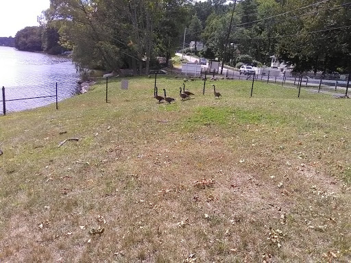 Arts Organization «Arts on the Lake», reviews and photos, 640 NY-52, Carmel, NY 10512, USA