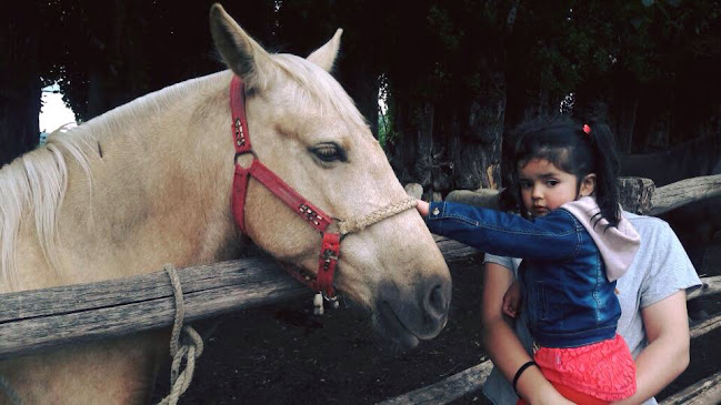 Comentarios y opiniones de Granja Educativa