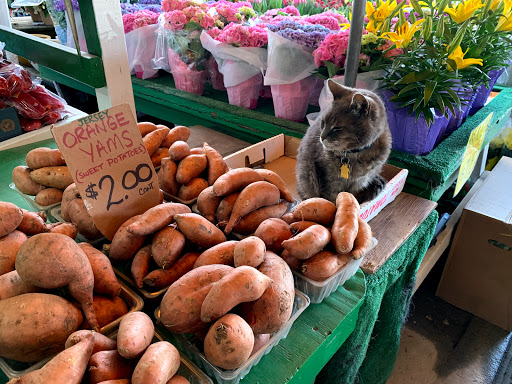 Produce Market «Puglias Produce», reviews and photos, 381 Fries Mill Rd, Sewell, NJ 08080, USA