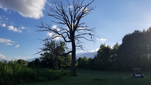 Golf Course «Farview Golf Course», reviews and photos, 2419 Avon Geneseo Rd, Avon, NY 14414, USA