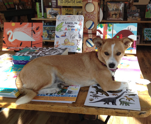 Toy Store «Sticks and Stones Toy Shop», reviews and photos, 16 Seminary Ave, Hopewell, NJ 08525, USA