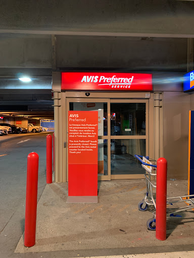 Avis Car Rental