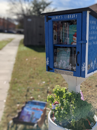 Lainey's Free Little Library
