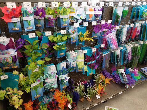 Pet Supply Store «Petco Animal Supplies», reviews and photos, 3551 W Hillsboro Blvd, Deerfield Beach, FL 33442, USA