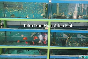 Toko Ikan Hias Aden Fish image