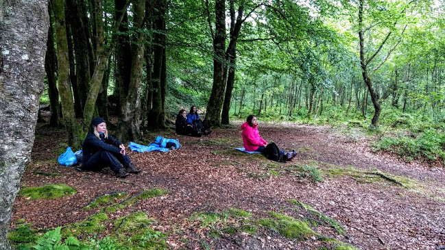 Reviews of Outdoors for you reconnecting people and nature in Glasgow - Travel Agency