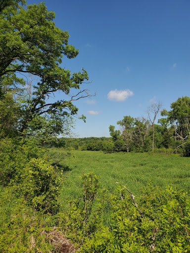 State Park «Willow River State Park», reviews and photos, 1034 County Highway A, Hudson, WI 54016, USA
