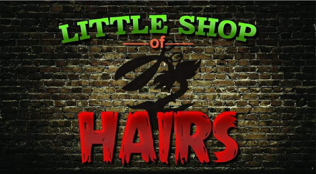 Little Shop Of Hairs