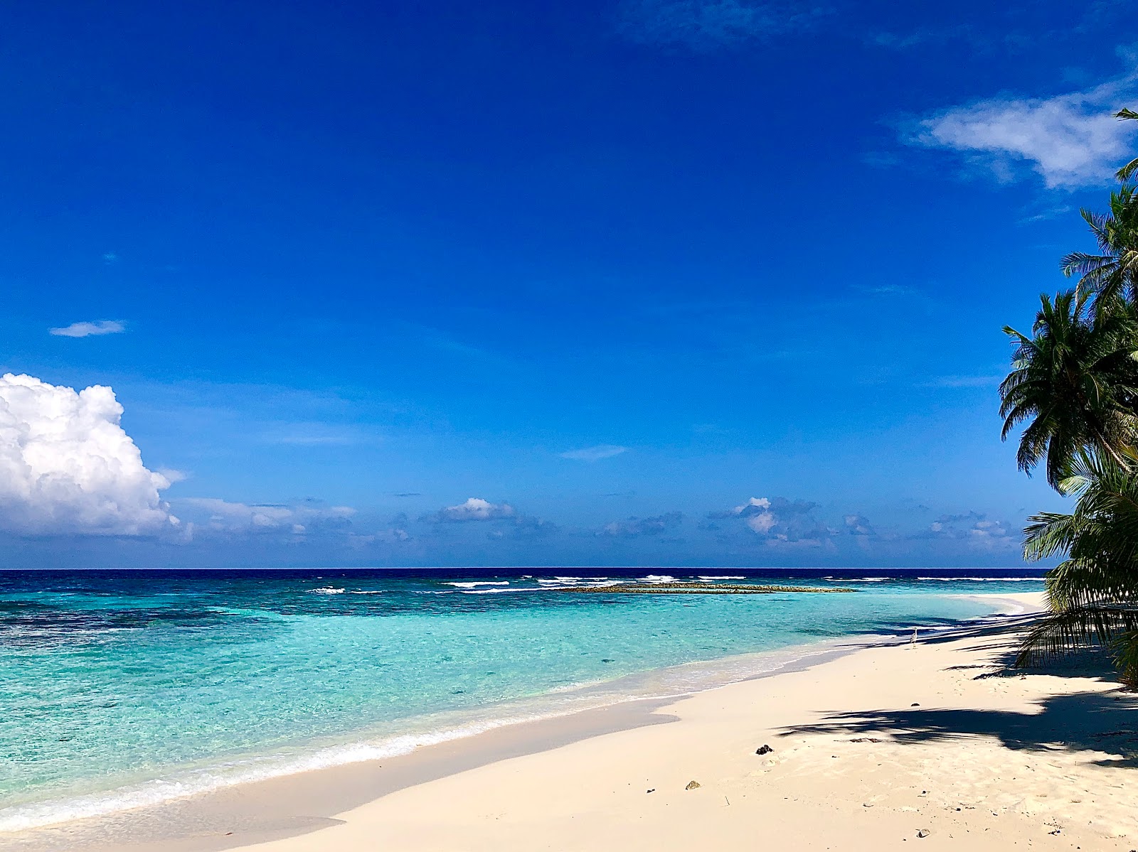 Foto van Bikini beach met ruim strand