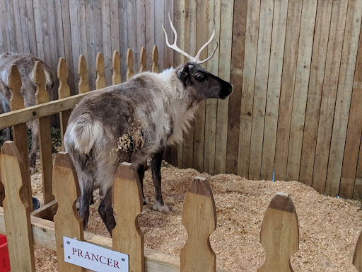 Historical Landmark «Grapevine Vintage Railroad», reviews and photos, 707 S Main St, Grapevine, TX 76051, USA