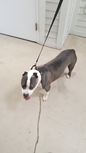 Pet Supply Store «Pet Supplies Plus», reviews and photos, 5394 Kemps River Dr Suite 101, Virginia Beach, VA 23464, USA