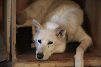 Innovet Pet Products - Photo 6 - Car repair in Gardena, CA, Torrance