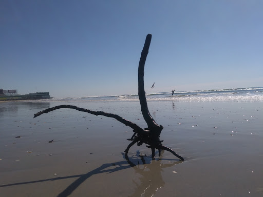 Tourist Attraction «Atlantic City Boardwalk», reviews and photos, 3109 Boardwalk, Atlantic City, NJ 08401, USA