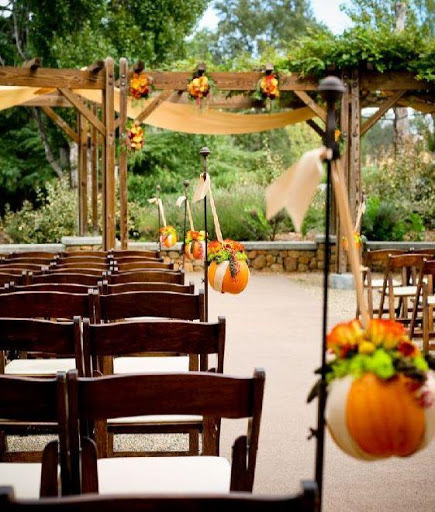 Florist «A Special Rose Florist», reviews and photos, 14546 Bruce B Downs Blvd, Tampa, FL 33613, USA