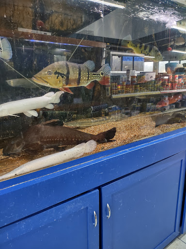 Tropical Fish Store «Xtreme Fish & Pets», reviews and photos, 11415 Bellaire Blvd # A, Houston, TX 77072, USA