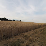 Photo n°5 de l'avis de Stefan.e fait le 09/07/2019 à 10:11 sur le  Hotel / Weingut Meintzinger à Frickenhausen am Main