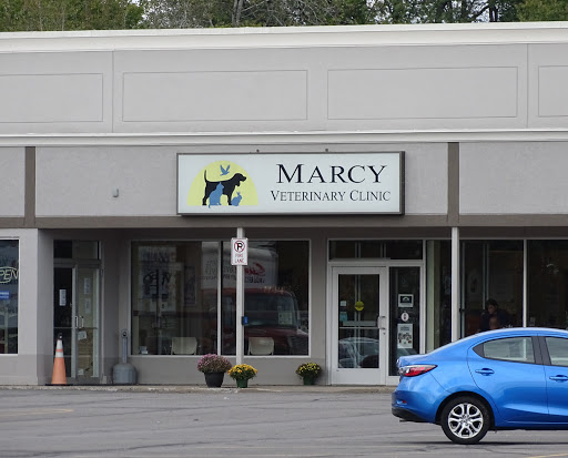 Marcy Veterinary Clinic image 6