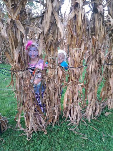 Water Park «Pioneer Waterland & Dry Fun Park», reviews and photos, 10661 Kile Rd, Chardon, OH 44024, USA