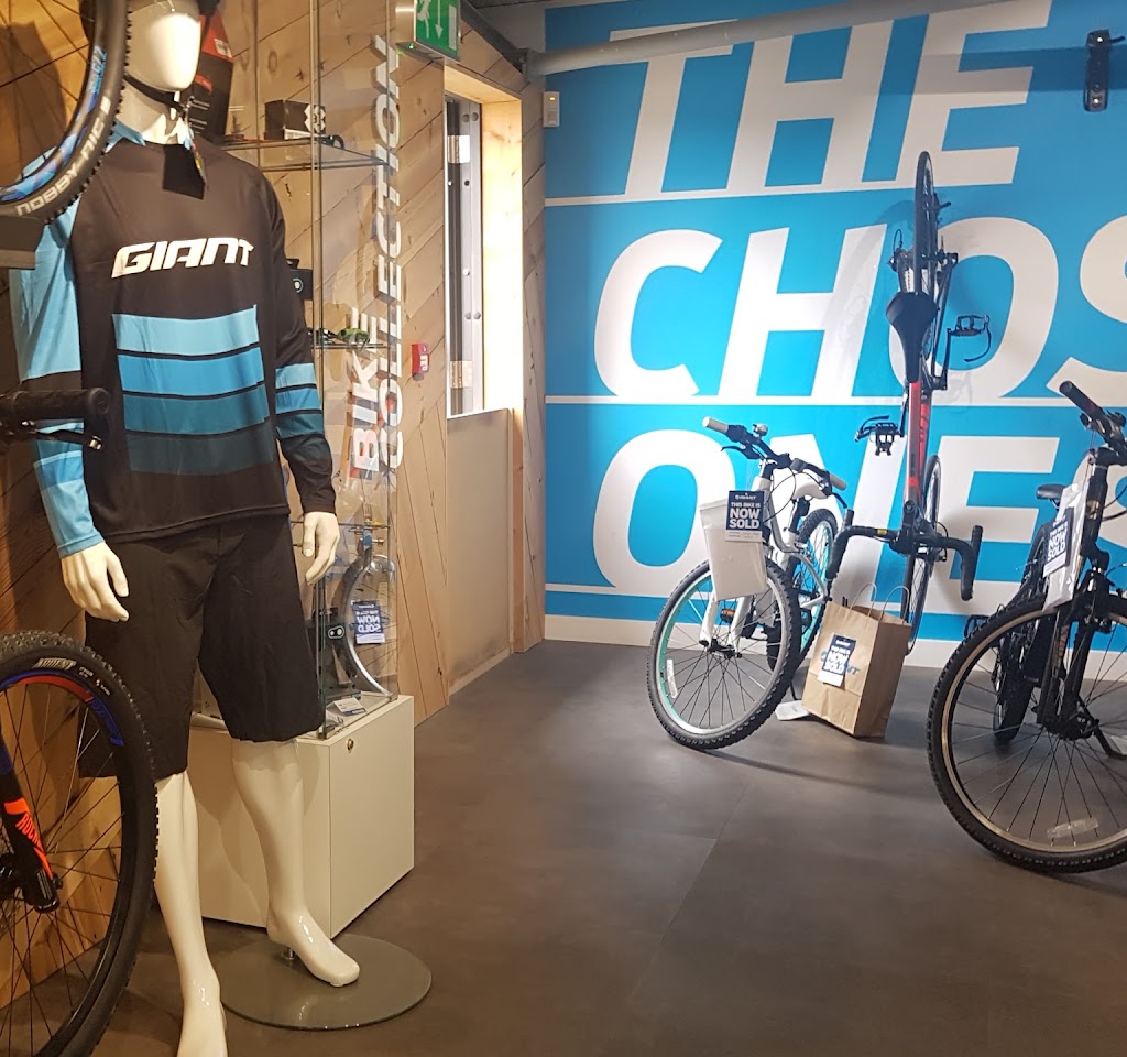 Giant Store Lincoln Doddington Hall