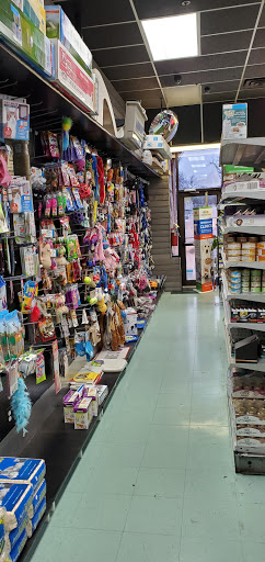 Petland Discounts - Ozone Park, 91-08 Atlantic Ave, Ozone Park, NY 11416, USA, 