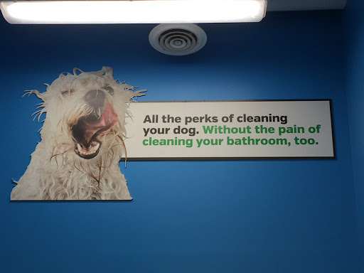 Pet Supply Store «Pet Supplies Plus», reviews and photos, 115 Richard B. Russell Parkway suite-110, Warner Robins, GA 31088, USA