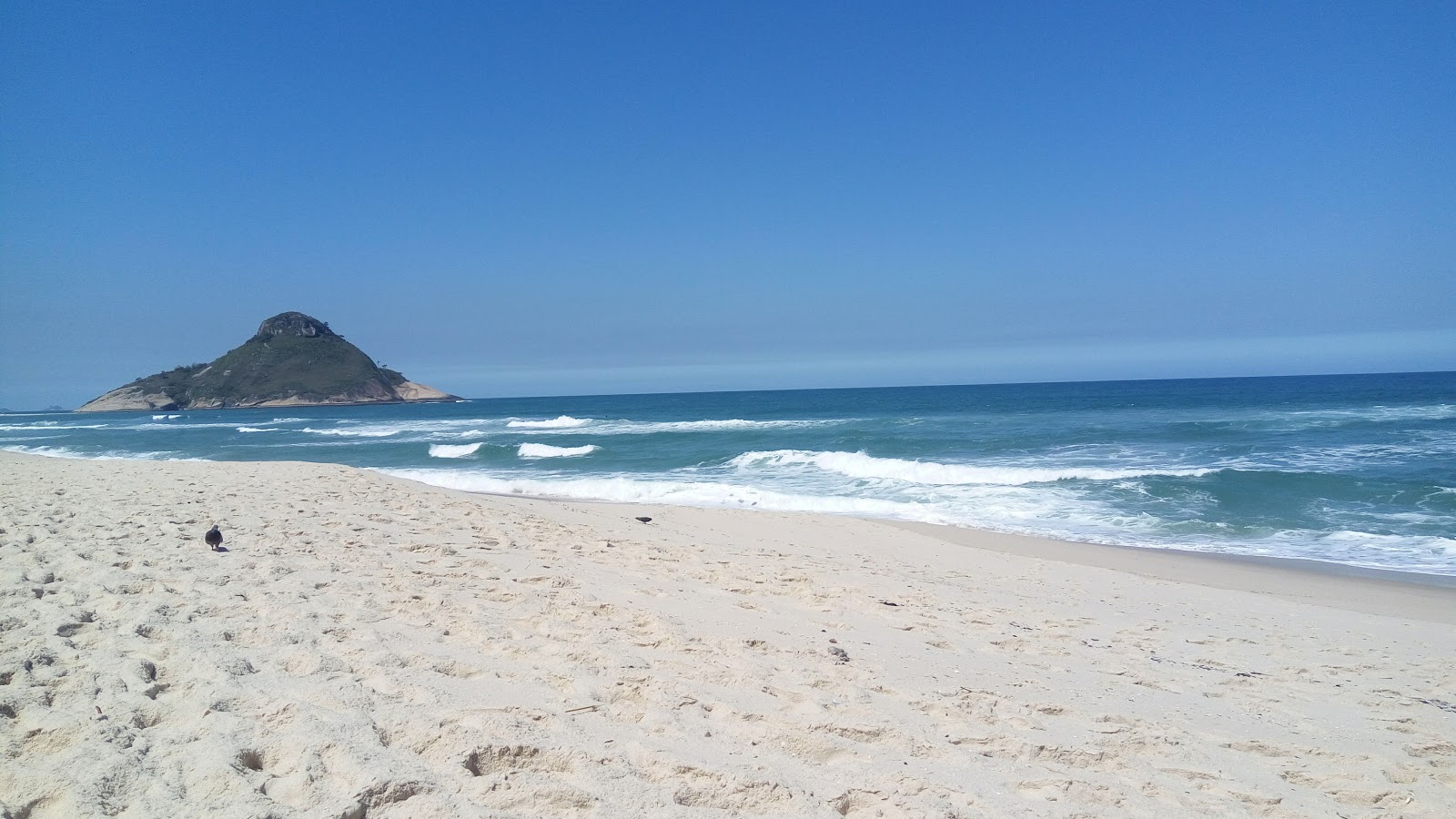 Photo de Plage de Macumba - bon endroit convivial pour les animaux de compagnie pour les vacances